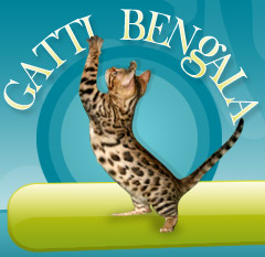Gatti Bengala